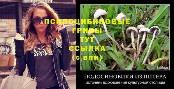 стафф Аркадак