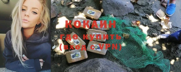 стафф Аркадак
