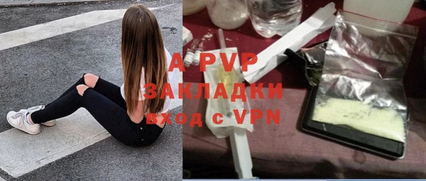 стафф Аркадак