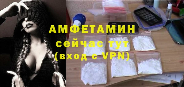стафф Аркадак