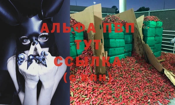 прущие крисы Арсеньев